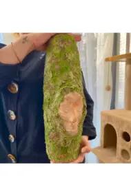 El Yapımı Yosun Detaylı İnsan Yüz Heykeli Dekorlu Özel Tasarım Vazo, Ev Dekoru, Ofis Dekoru - Görsel 4