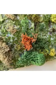 Doğal Malzemelerle Özgün Sanat: Beton Efekti ve Yosunlarla Kaplı İnsan Yüzlü Tablo, Duvar dekoru - Görsel 8