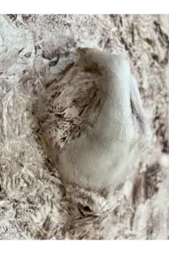 3D Beyaz El Heykel Dekorlu Tuval üzerine Akrilik Tablo, Heykel Duvar Sanatı, 3D Duvar Dekor - Görsel 8