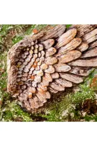 Özel Tasarım Yosun Efektli İnsan Yüzlü Melek Kanadı 3 Boyutlu Tablo, Duvar dekoru - Görsel 7