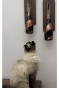 Led Işıklı Ahşap Kahverengi Vitray Cam Salon Bar Bahçe Dekoru Şampanya Şişesi Aplik 2'li Set - Görsel 8